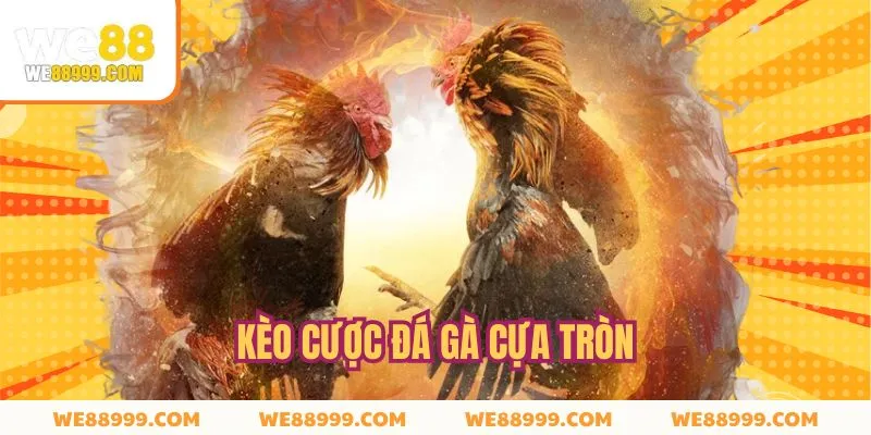 Kèo cược cơ bản trong loại hình đá gà cựa tròn
